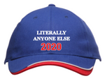 LITERALLY ANYONE ELSE 2020! The Only Ballcap You Need